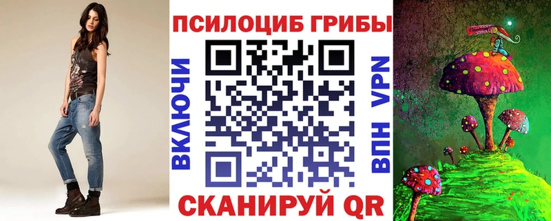 Галлюциногенные грибы Psilocybe  Аксай 